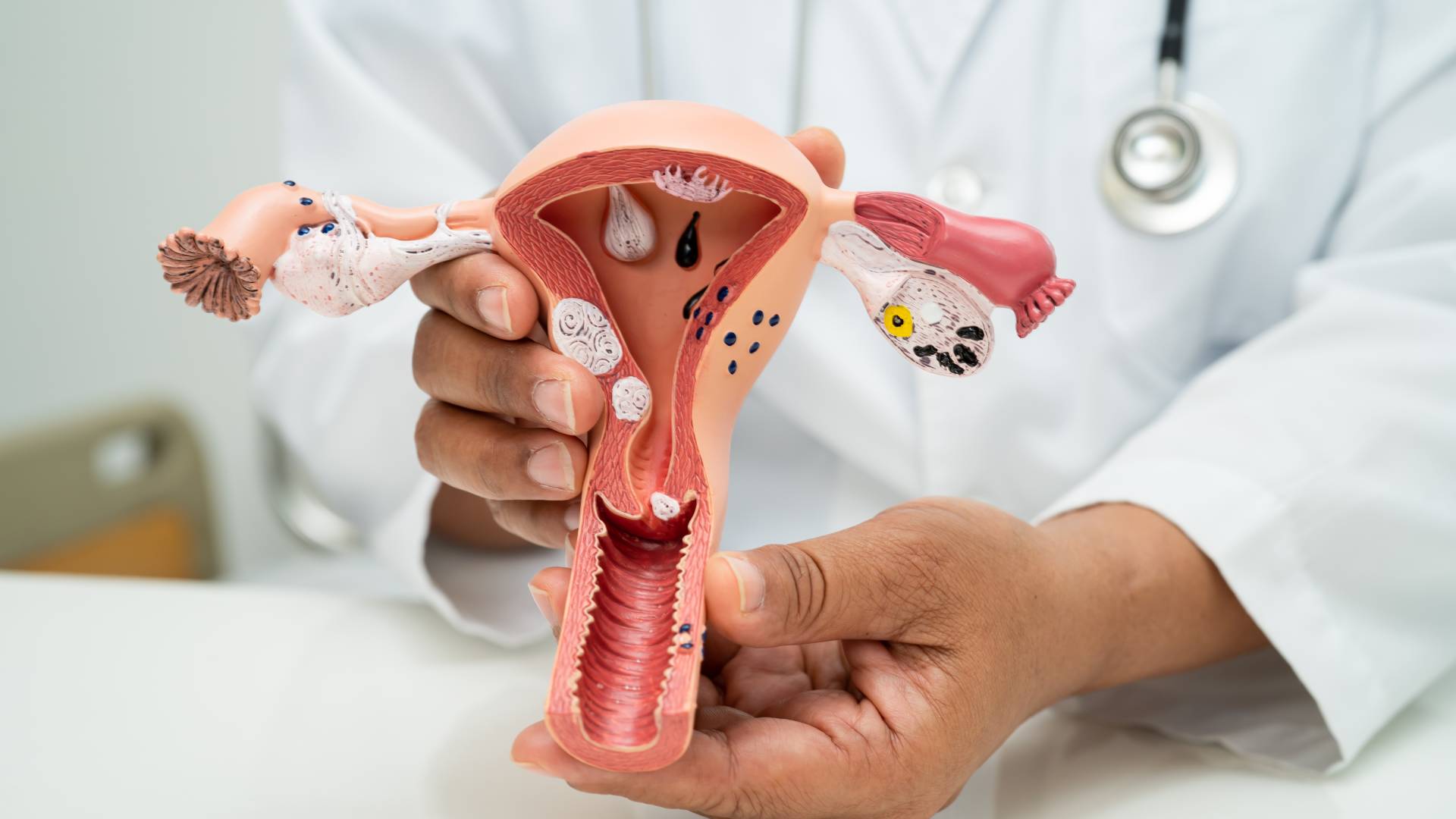 Jinsiy dumbalarni külotlarda tomosha qiling